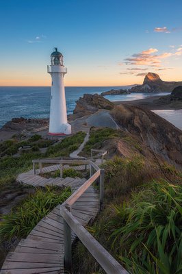NI06 - Waiting for his moment - Castlepoint, Wellington.jpg
